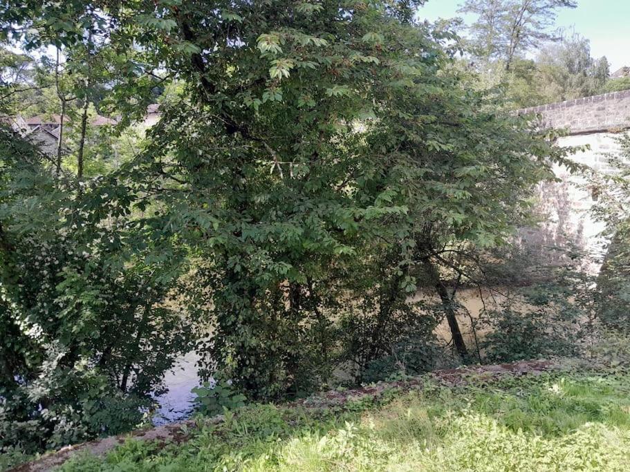 Appartement Privatif Tout Equipe En Bord De Riviere Figeac Exteriör bild